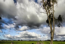 厄瓜多尔队备战南美精英杯