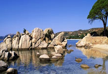 塞尔维亚对决斯洛伐克，双方激战难分胜负