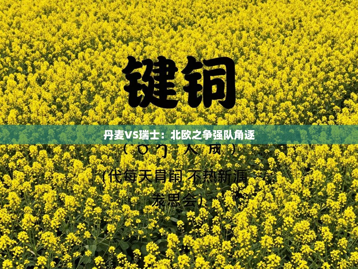 丹麦VS瑞士：北欧之争强队角逐  第2张